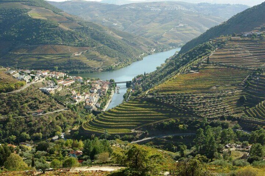 Douro Valley: From Casal de Loivos to Pinhão, walk and Wine Tour
