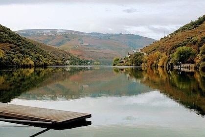 Douro Valley: From Casal de Loivos to Pinhão Walk and Wine Tour