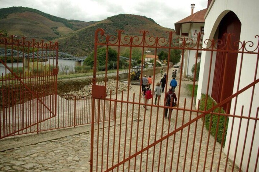 Guided Walking Tour to Pinhão