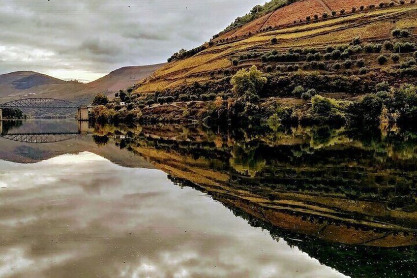 Douro Valley: From Casal de Loivos to Pinhão, walk and Wine Tour