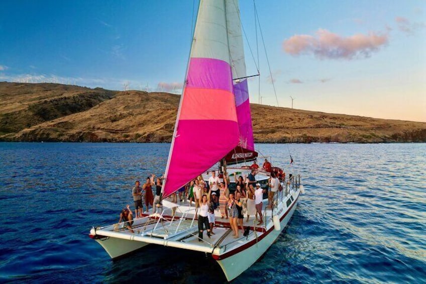 From Maalaea Harbor: Whale Watching Tours Aboard Winona Catamaran