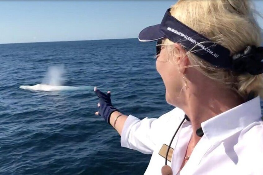 White Whale