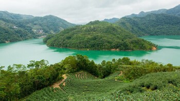Thousand Island Lake, Bagua Tea & Pinglin Tea Museum Tour