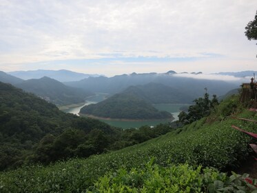 Thousand Island Lake och Pinglin Tea Plantation från Taipei