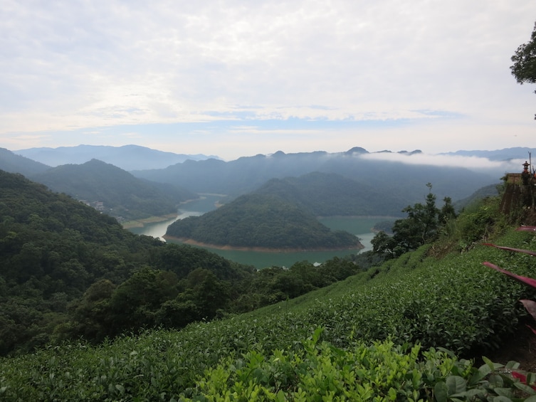 正在顯示第 1 張相片,共 9 張。 Thousand Island Lake, Bagua Tea & Pinglin Tea Museum Tour