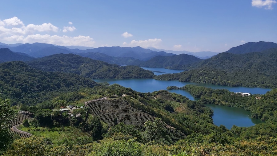 Thousand Island Lake & Pinglin Tea Plantation Afternoon Tour from Taipei