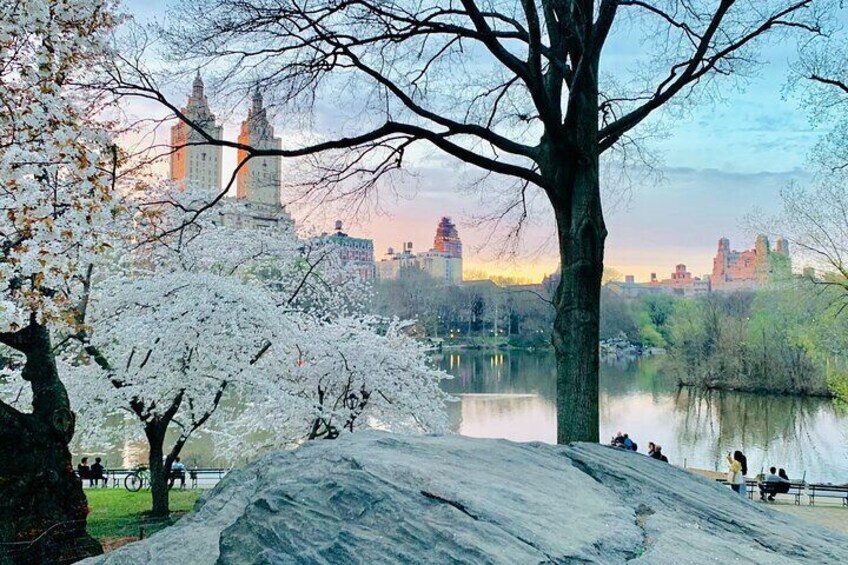 Central Park Film Spots & Celebrity Homes Pedicab Tour