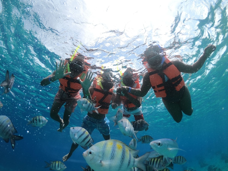 Cozumel Clear Boat & Snorkel Tour with drinks
