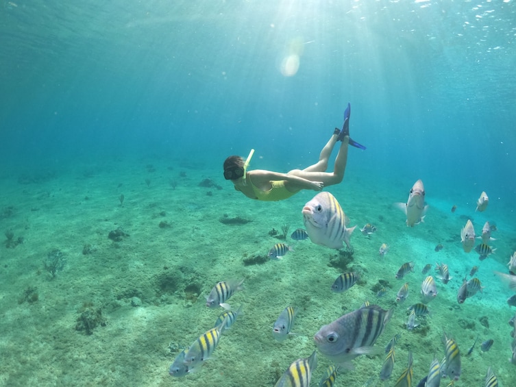 Clear Boat & Snorkel Cozumel