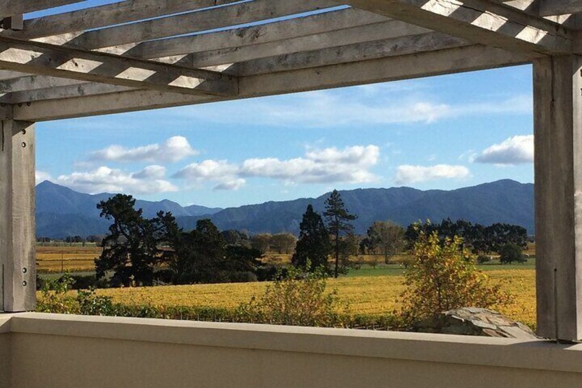 Blue skies and vineyards of Marlborough