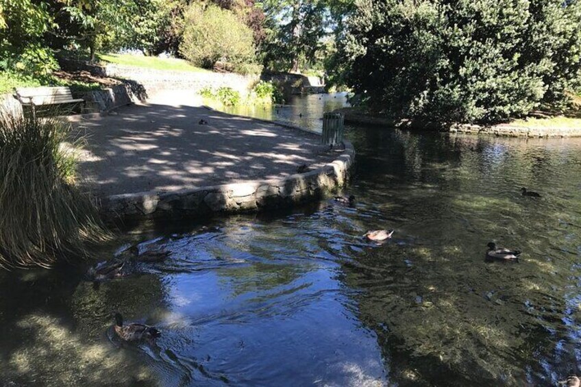 Picturesque Blenheim Gardens