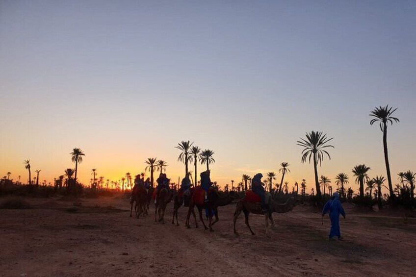 sunset camel ride near Marrakech 