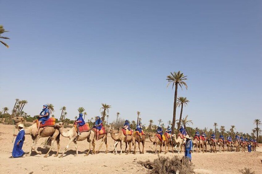 small group camel ride tour