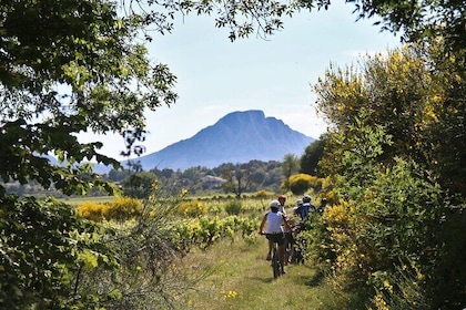 Guided Electric Bike Tours with Tasting in Pic Saint Loup