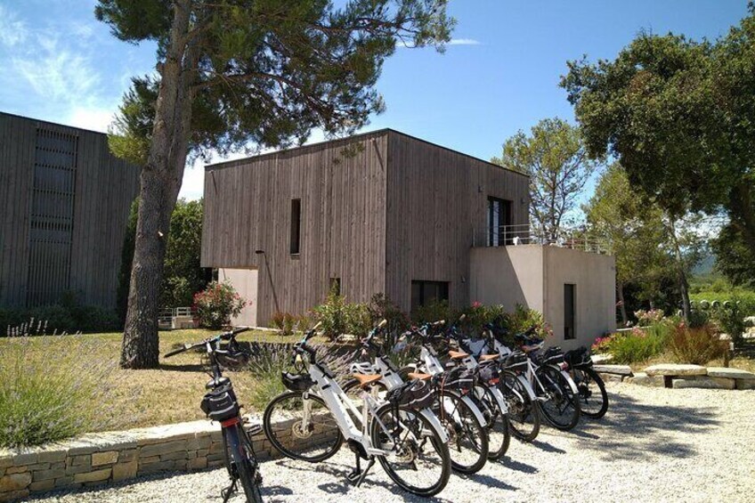 At the Mas de l'Oncle