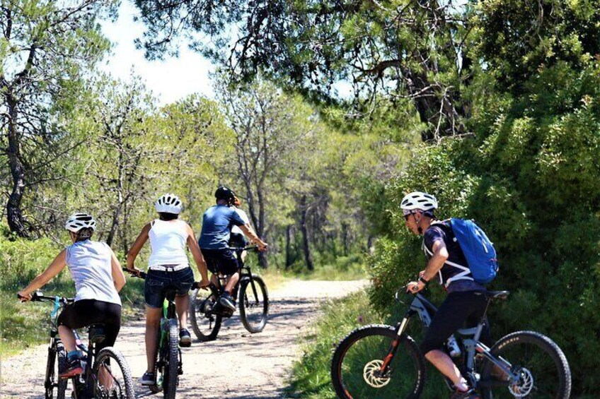 Guided Electric Bike Tours with Tasting in Pic Saint Loup