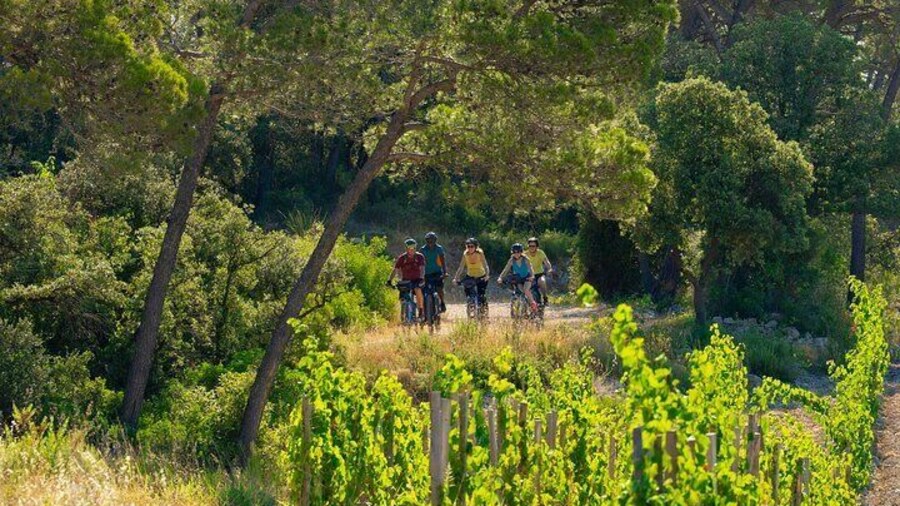 Guided Electric Mountain Bike Tours and Tasting in Pic Saint Loup