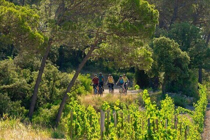 Guided Electric Mountain Bike Tours and Tasting in Pic Saint Loup