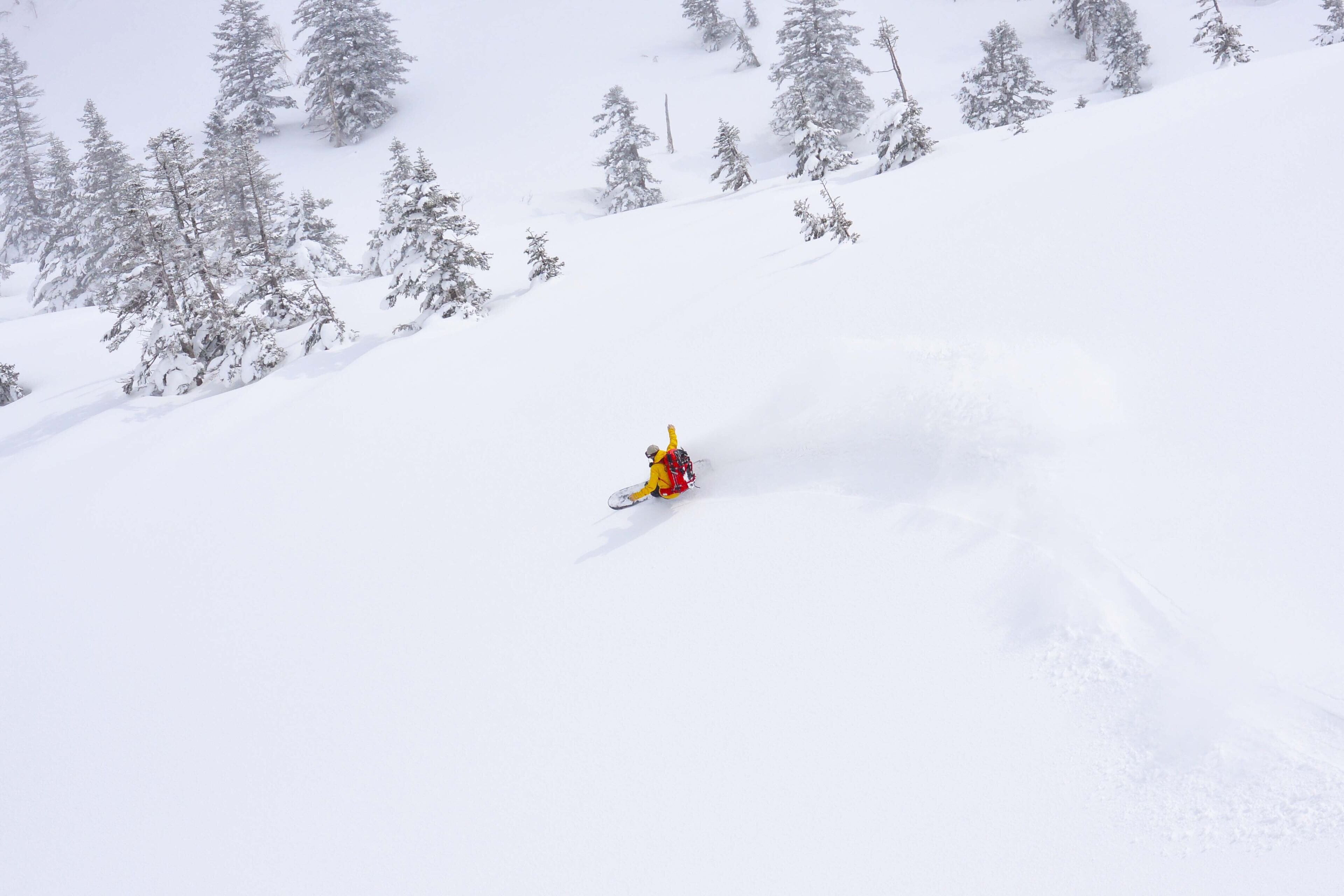 Backcountry Skiing or Snowboarding at Mt. Hakkoda, Aomori