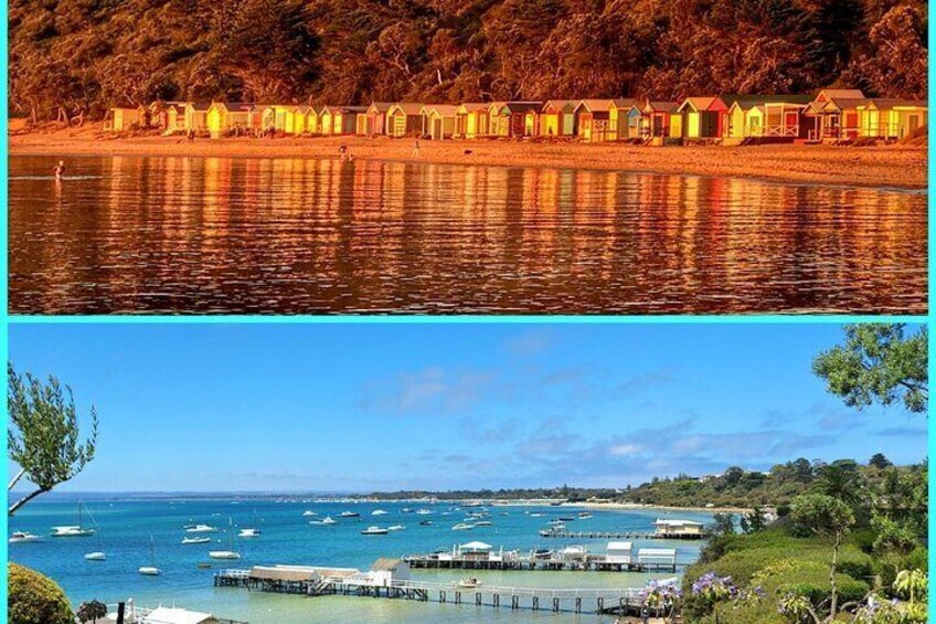 Mornington Peninsula Private Sightseeing Day Tour from Melbourne.