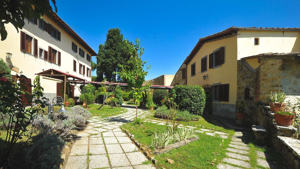 Garden view of vineyard lodging.