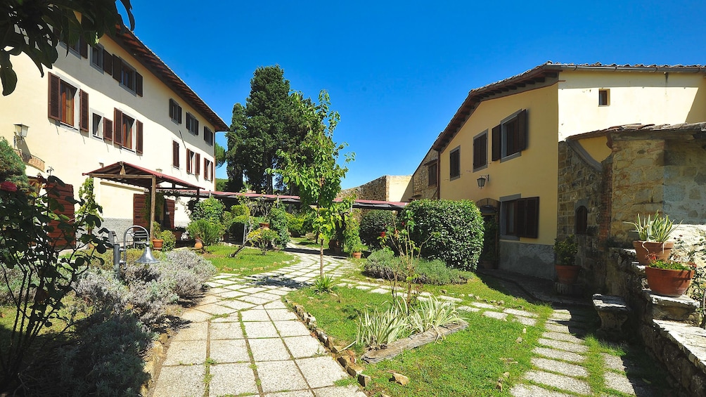 Garden view of vineyard lodging.