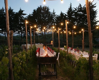 Au départ de Florence : Dîner dans les vignobles du Chianti avec dégustatio...