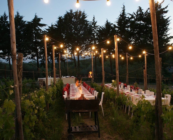 Dinner in Chianti Vineyards with Wine Tasting