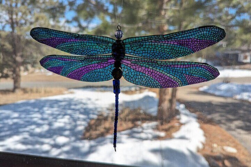 Dragonfly Suncatcher Art Kit in Estes Park