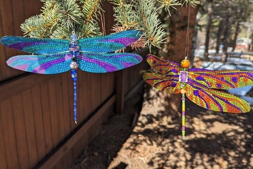 Dragonfly Suncatcher Art Kit in Estes Park