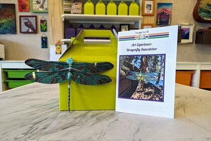 Dragonfly Suncatcher Art Kit in Estes Park