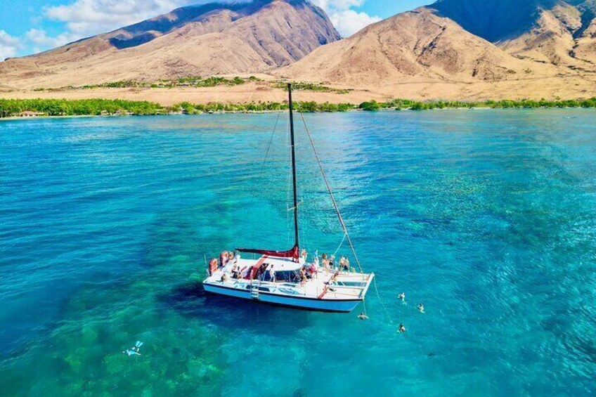 Half-Day Snorkel trip on a Charming Hawaiin Catamaran 8AM-1PM