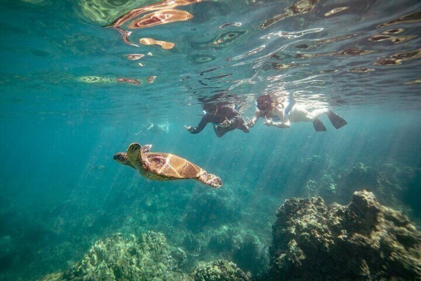 Half-Day Snorkel trip on a Charming Hawaiin Catamaran 8AM-1PM