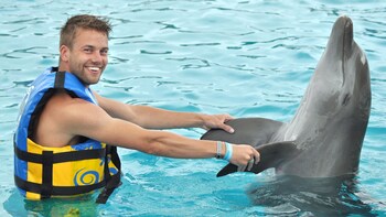 Dolphin Lovers' Swim