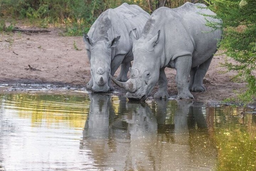 Khama Rhino Sanctuary