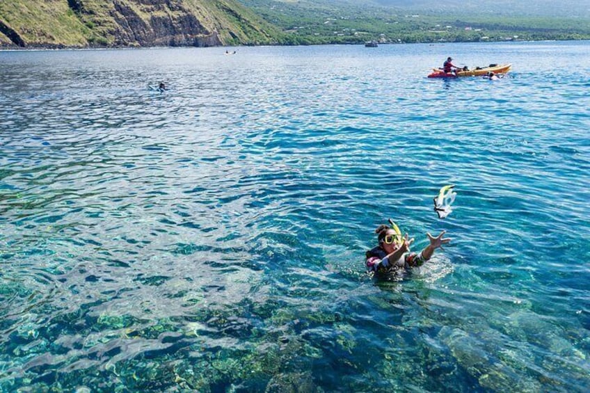 Snorkeling is one of the most popular activities in Kealakekua Bay, Hawaii.