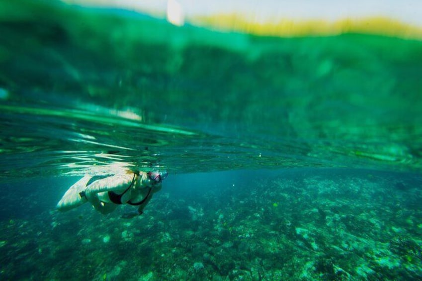 Bikini-wearing snorkeler in Kealakekua Bay enjoys the underwater world off Hawaii.