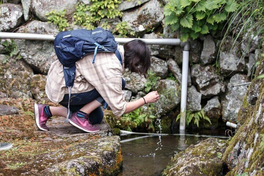 4つ目の立ち寄りスポットは地域の方が大切にされている湧水スポットへご案内。
夏はヒンヤリ気持ち良いです