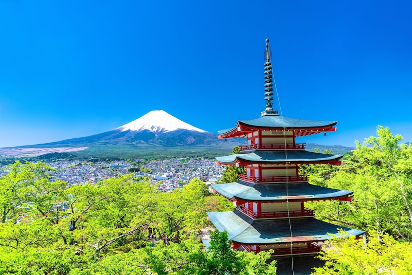 Make-Your-Own-Ramen Experience / Fuji + Hakone 1 Day Bus Tour