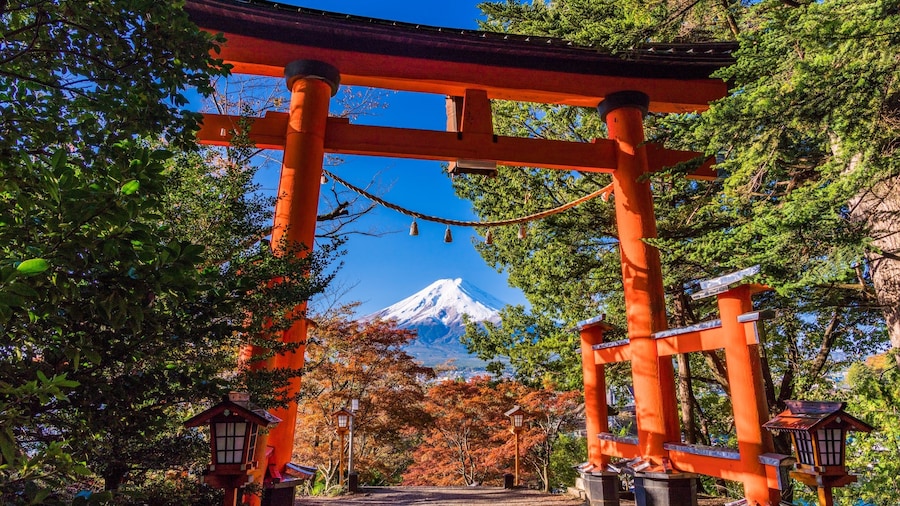 Make-Your-Own-Ramen Experience / Fuji + Hakone 1 Day Bus Tour