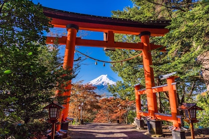 富士山：箱根游轮、富士浅间神社和自制拉面