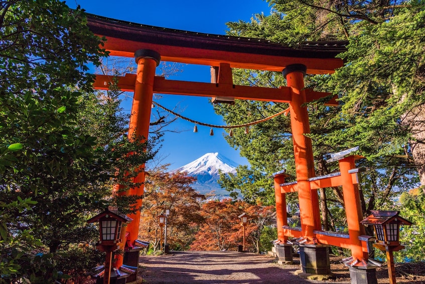 Make-Your-Own-Ramen Experience / Fuji + Hakone 1 Day Bus Tour