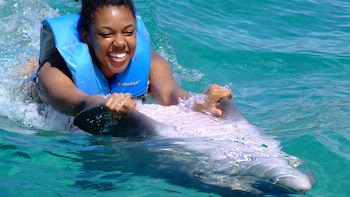 Dolphin Swim Adventure + Dunns River Fall Admission