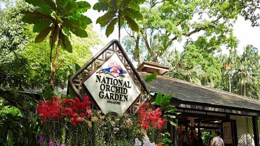 National Orchid Gardens