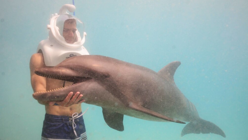 Man swimming next to a dolphin in the water in Ochos Rios