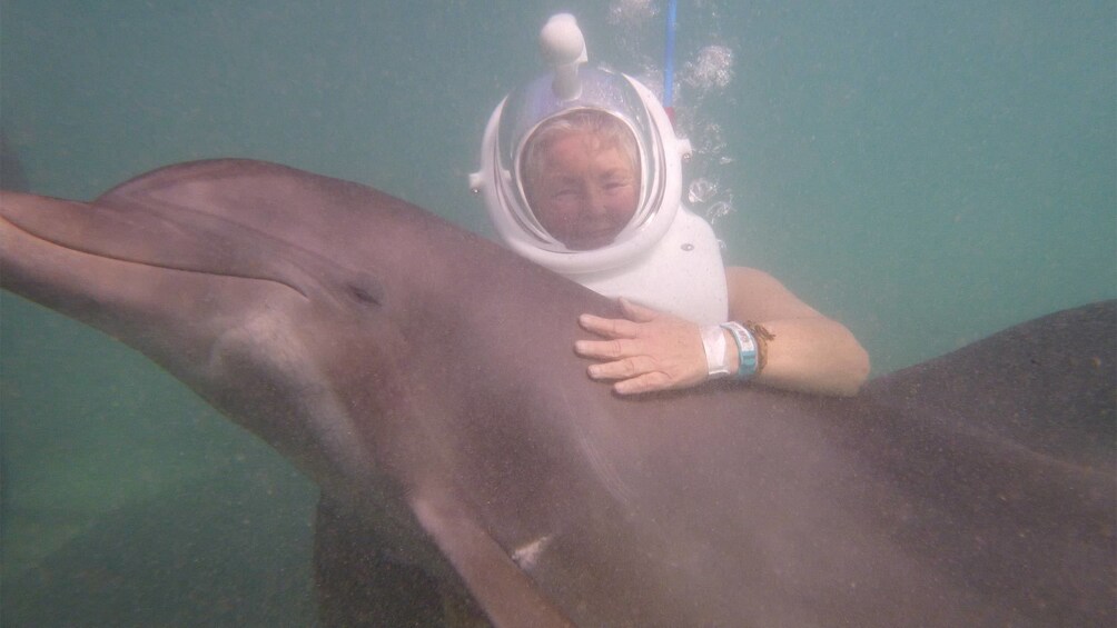 Woman pets dolphin underwater in Ocho Rios