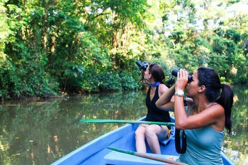 All inclusive package 2 nights 3 days in Tortuguero from San José
