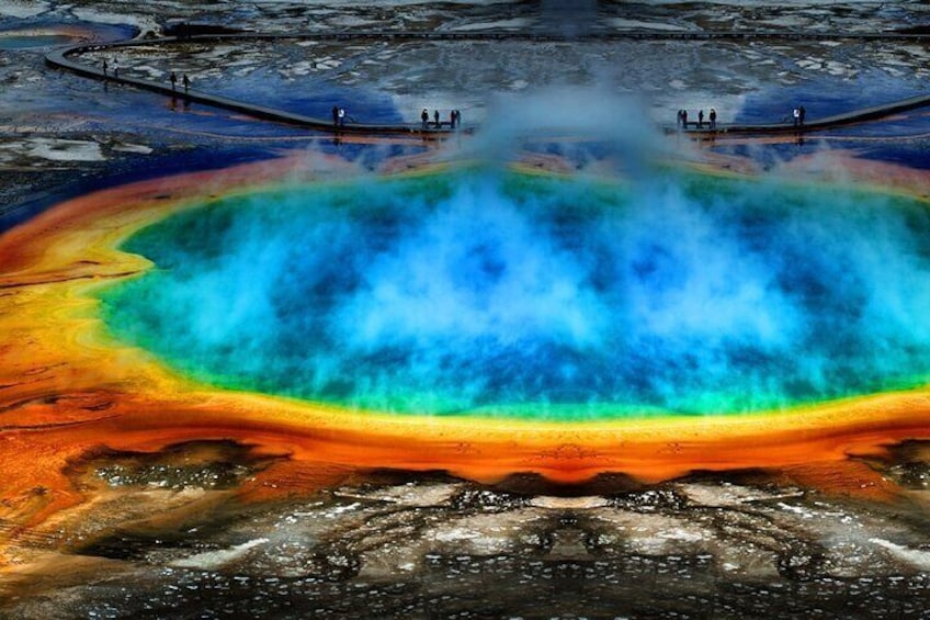 Private Full-Day Yellowstone National Park Tour