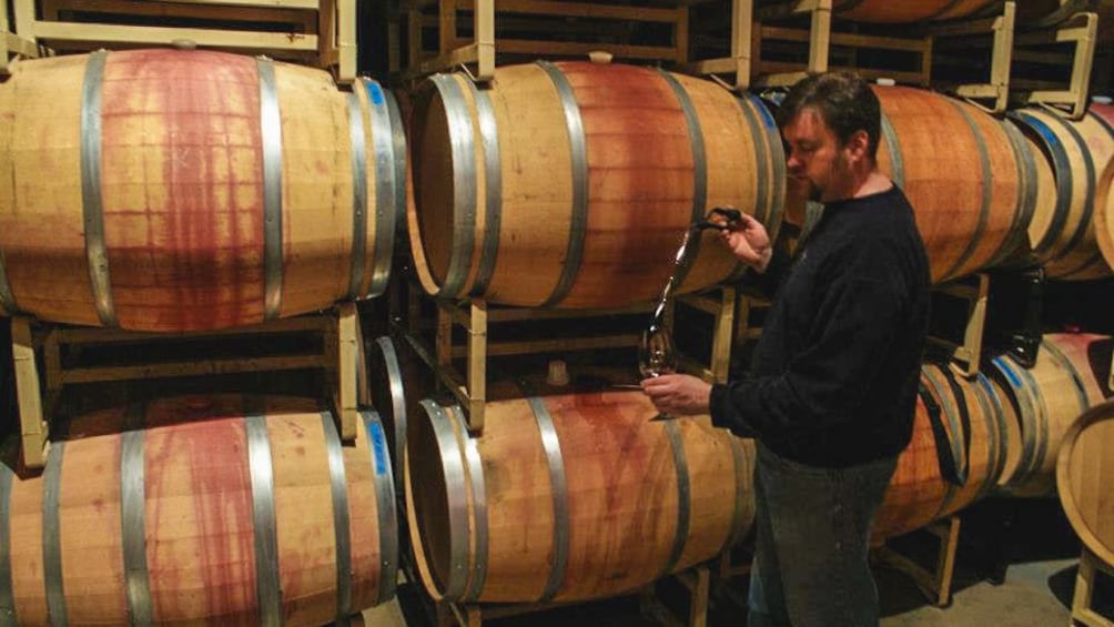 Angled view of man pouring red wine in glass in cellar.
