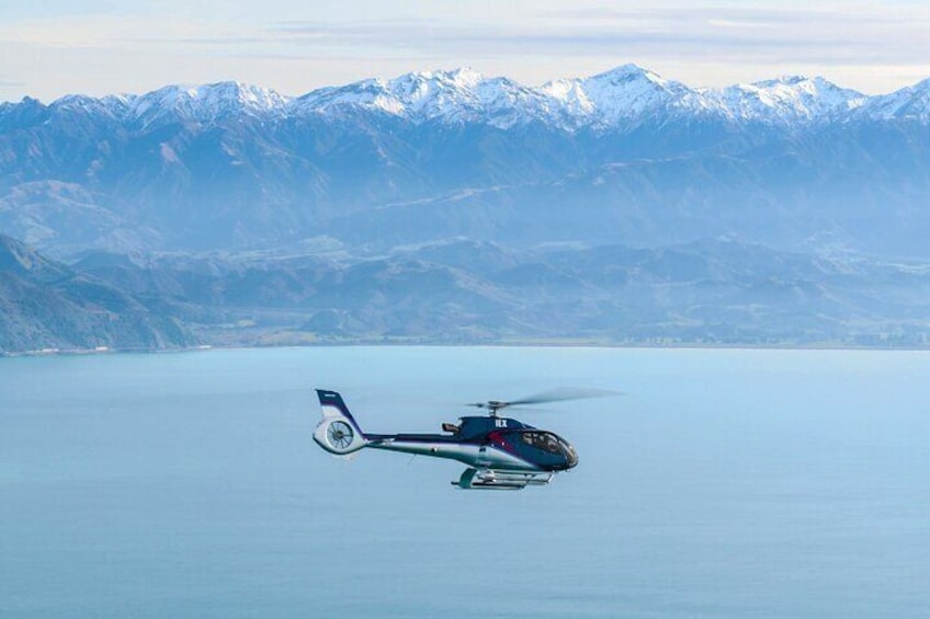 Kaikoura Helicopters whale watching, New Zealand.